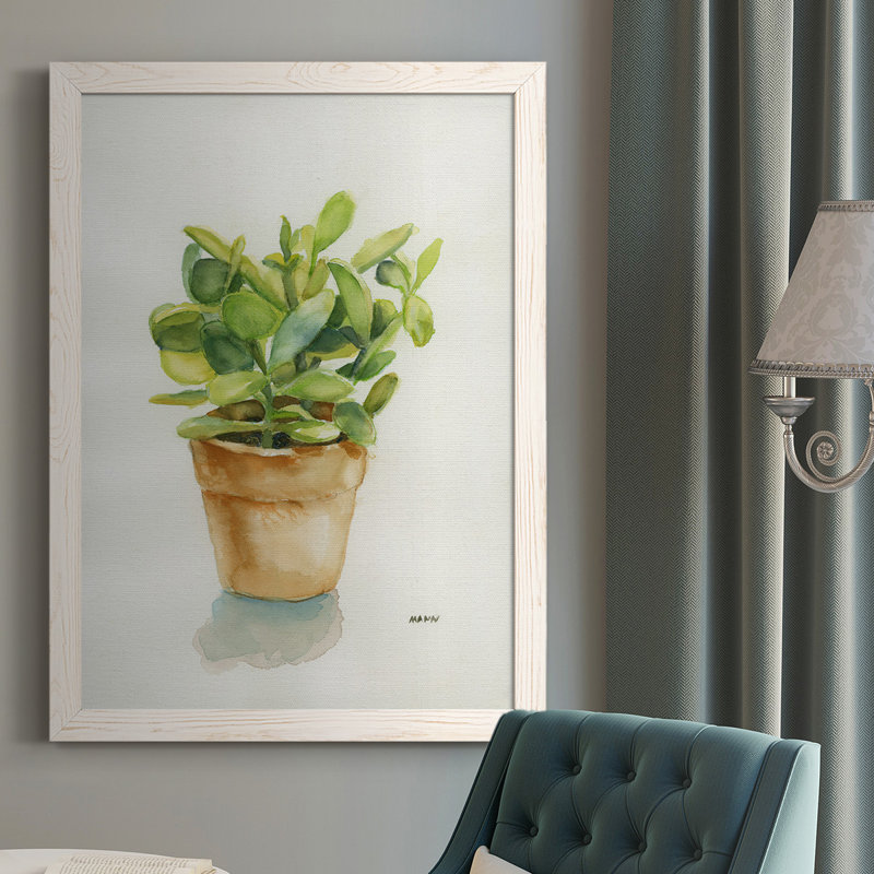 «Succulent I», reproduction sur toile, Blanc, H 37,5 po x l 27,5 po x P 1 po