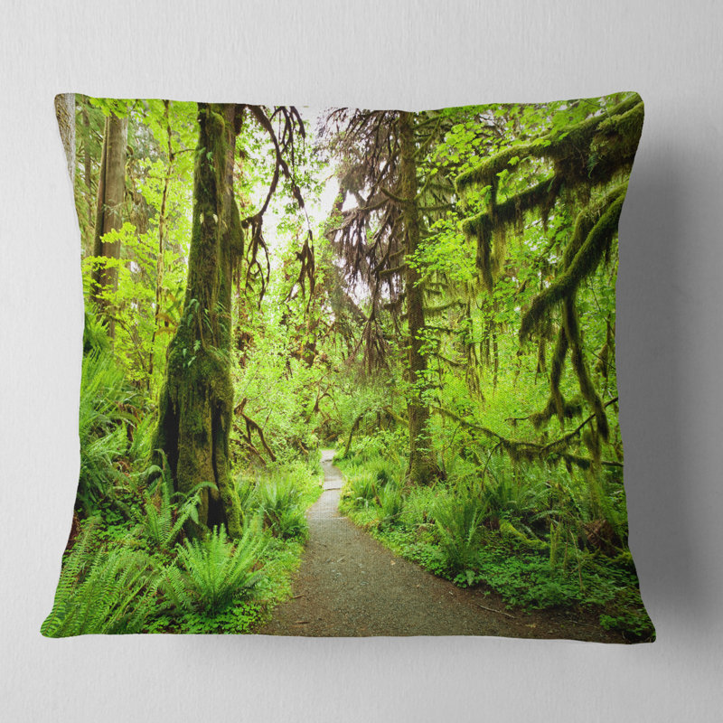Coussin Schafer, 16 po x 1 po, Coussin décoratif