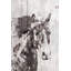 Irena Orlov - Wrapped Canvas Painting-19184049