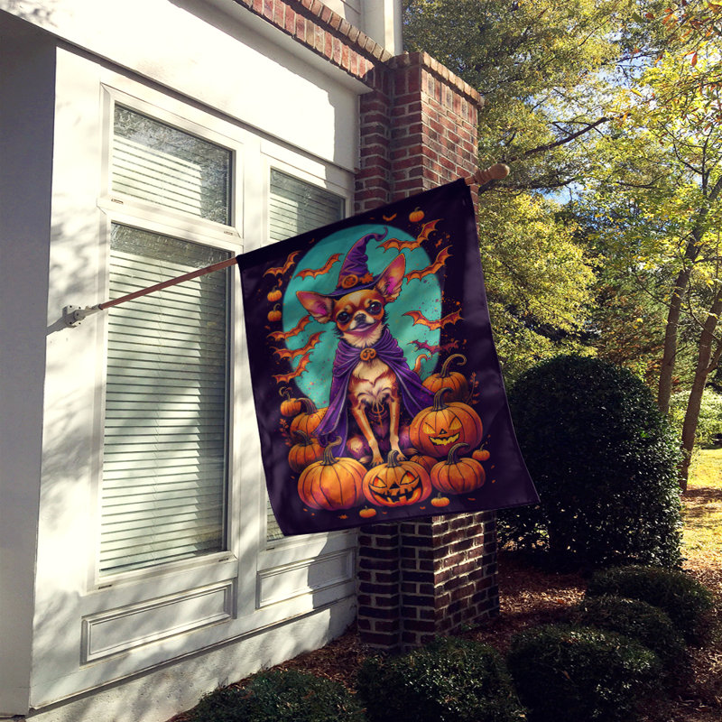 Jalante Double Sided Polyester Halloween Garden Flag, 40" x 28"