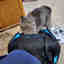 Customer photo 3 of 3