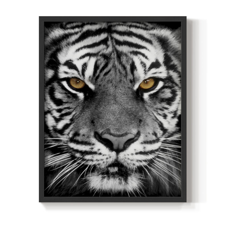Golden Eyes Framed Print - Solid Wood, 11" H x 9" W, Black