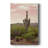 Arizona Desert -Custom Wrapped Gallery Cavas