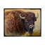 «Bison Portrait I» par Chris Vest - impression sur toile-33538068