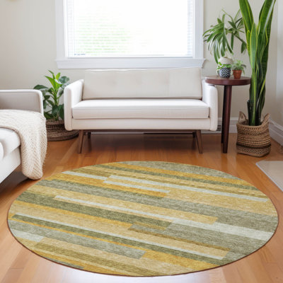  Chayden Area Rug with Non-Slip Backing