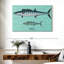 Wahoo Brampt-108123222