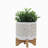 8" CHEVRON PLANTER W/ WOOD STAND, BEIGE