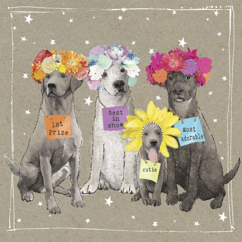 Fancypants Wacky Dogs V - Wrapped Canvas Print, 122cm H x 122cm W