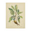 «Bird and Botanical V», reproduction sur toile tendue-33519820