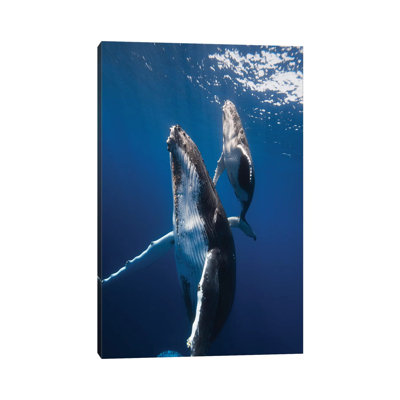 Back to the Surface 1 Piece Wrapped Canvas Wall Art