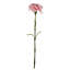Plastic, Silk Artificial Arrangement-88685013