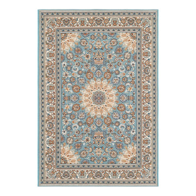 Indoor/Outdoor Traditional Area Rug
