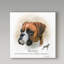 « boxer », reproduction d’impression sur toile tendue-26857106