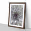 Green & Purple Succulent in Abstract - Picture Frame Graphic Art Print-55736083-55736085