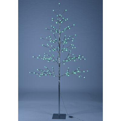 Holiday Lighting