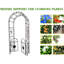 Arche de jardin en métal avec portes - noire, parfaite pour les plantes grimpantes comme le jasmin, la fête en plein air et les occasions
