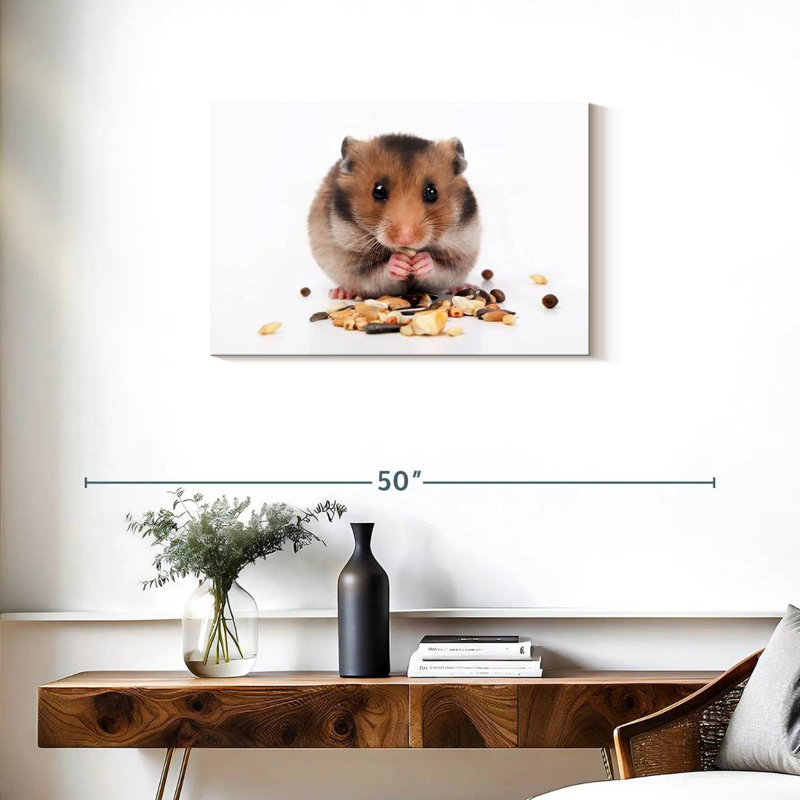 Hamster mangeant des noix et des graines, H 20 po x l 30 po