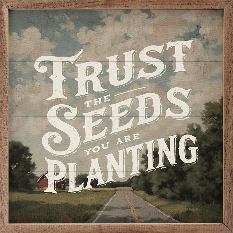 Trust The Seeds, H 4 po x l 4 po