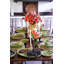 Amalfi Appetizer Plate - Lime - 7.1"-566826395