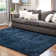 Indoor Rug