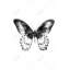 Papillon noir - Toile pour chambre noire et blanche