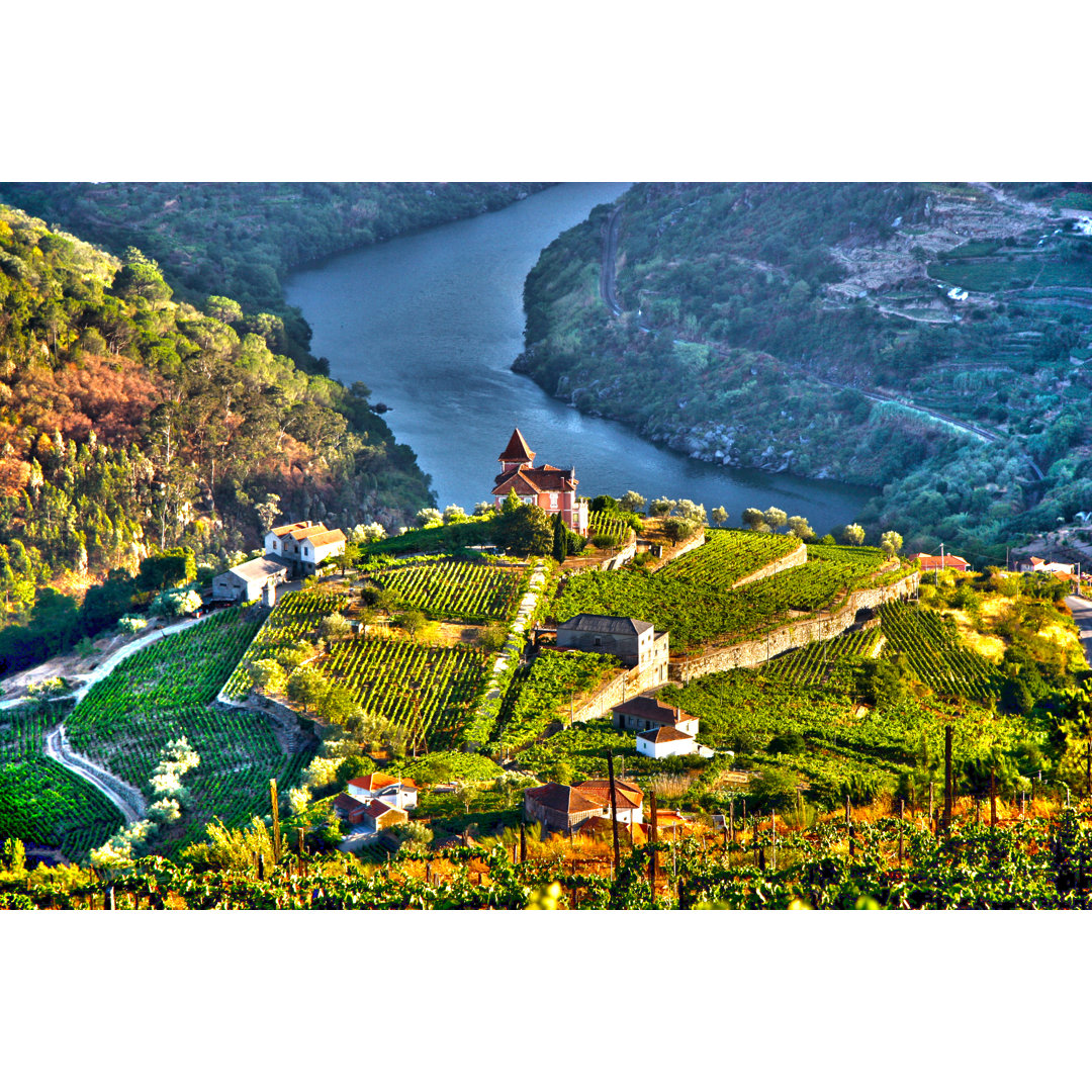 Douro-Tal von LuisPortugal - Drucken