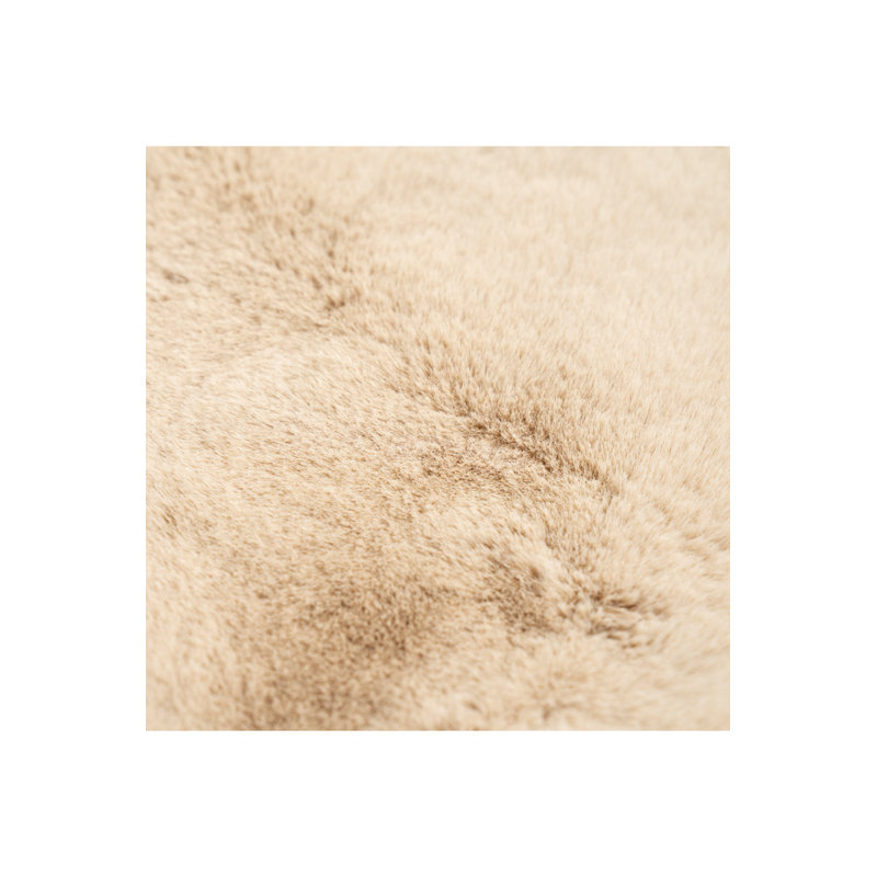 Rug Area Rug in Beige