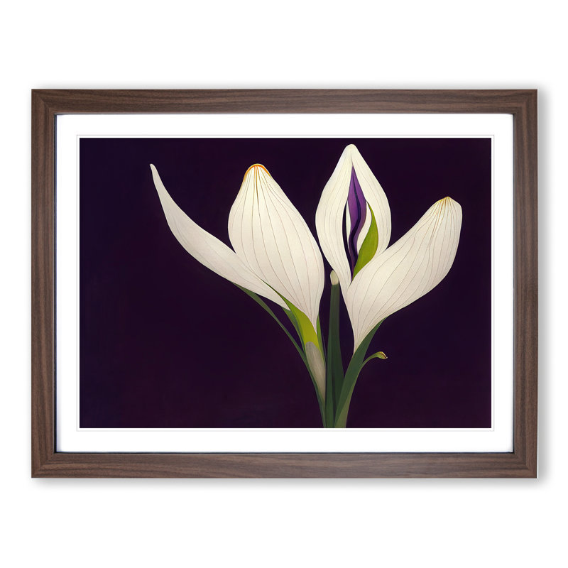 Evolving Flower - Framed Print, 25cm H x 34cm W x 2cm D, Walnut