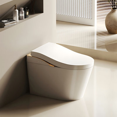 Toilette intelligente 10 po avec capteur intelligent, siège chauffant à température réglable et bouclier en mousse pour salle de bain domestique