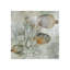Coral Reef IV Print by Sofia Fox-26934214-26934217