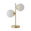 Alahnna Metal Table Lamp