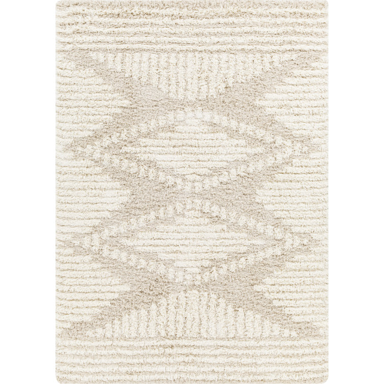 https://assets.wfcdn.com/im/00172757/resize-h755-w755%5Ecompr-r85/2182/218289392/Colletta+Shag+Machine+Woven+Area+Rug.jpg