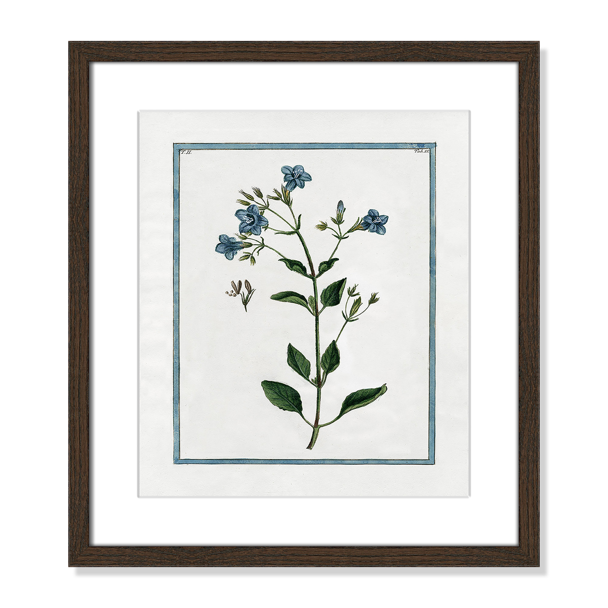 Shabby Elegance Botanical II - Framed Art, 13" W x 15" H, Walnut Framed