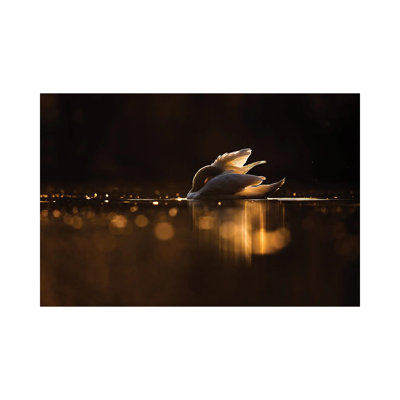 Hidden by Mateusz Piesiak - Wrapped Canvas Print