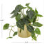 Feuillage artificiel floral et botanique Cole and Gray