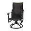 Florence Woven High Back Swivel Rocker-223799305-223746508