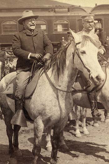 « roosevelt », reproduction de photo, H 30 po x l 20 po