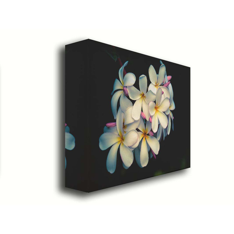 Plumerias par Kelly Wade. Toile giclée sur toile avec cadre flottant, H 30 po x l 45 po, Toile tendue, Ne s’applique pas