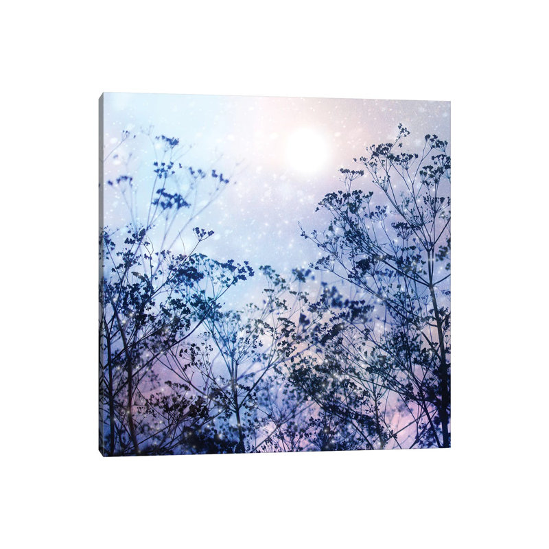 Winter Solstice - Wrapped Canvas Print, 45.72 cm H x 45.72 cm W x 1.91 cm D