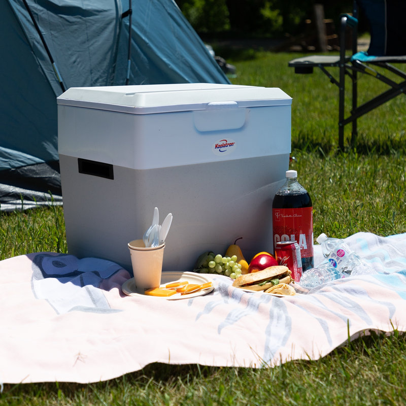 Koolatron 12V Electric Cooler/Warmer 49L (52 qt), Two-Way Design, Gray