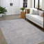 Tapis gris clair Charo Southwestern-2000250181
