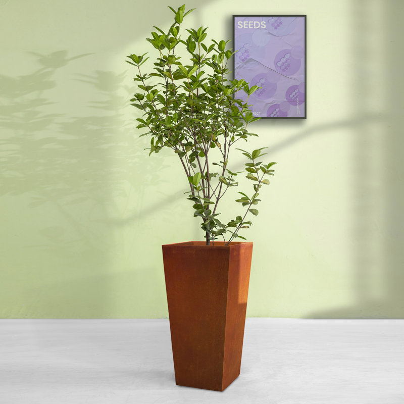 Antonio Concrete Pot Planter, 28" H x 14" W x 14" D, Rust Brown