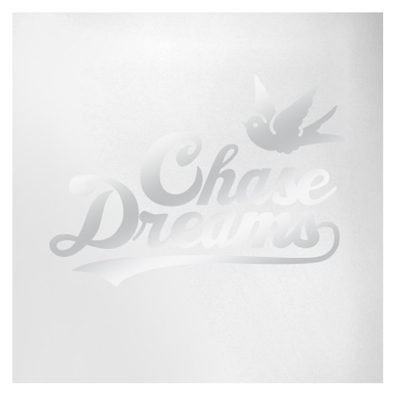 Wall Decal, Shiny Silver