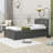 Twin Platform Bed with Trundle-1478878344