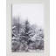 « winter pins », reproduction de photo-22133313-22133309
