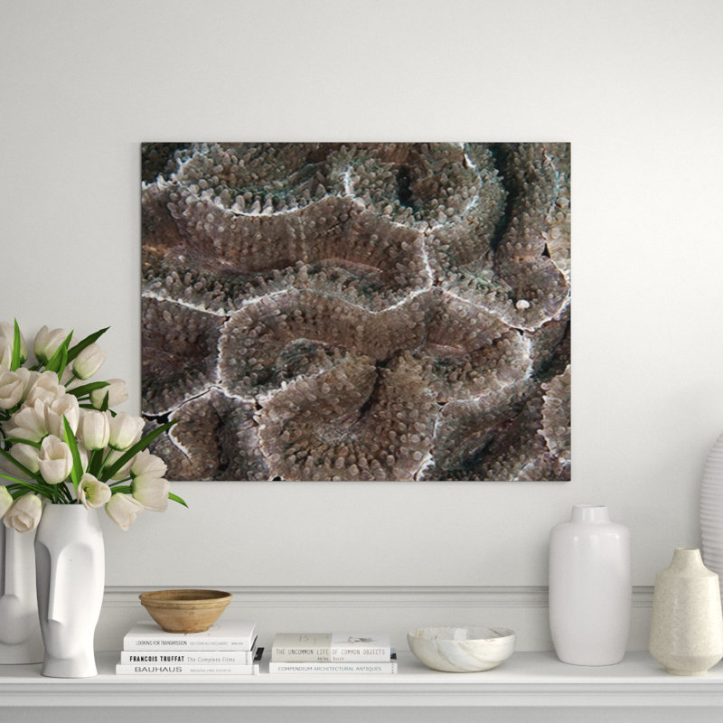 Underwater Beauty I Print by Austin Beiv, Glass Coat, 22" H x 22" W x 1.5" D