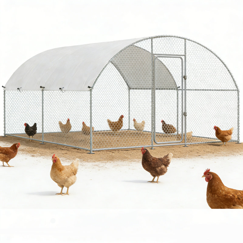 Grand poulailler en métal pour la cour avec couvercle, 13 x 10 6,4 pi, H 76,8 po x l 120 po x P 156 po