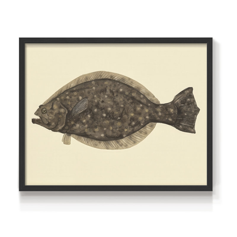«Saltwater Species IV», reproduction encadrée, H 8 po x l 10 po, Noir, noir, noir, noir