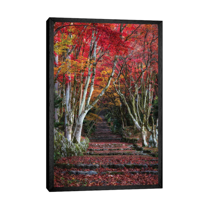 Autumn In Japan XXVIII by Daisuke Uematsu - Print on Canvas, Black Framed, 66.04cm H x 45.72cm W x 3.81cm D