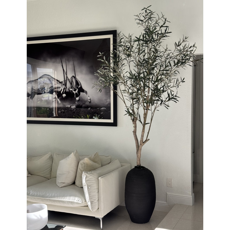 Artificial Olive Tree In White Konos Vase, Black